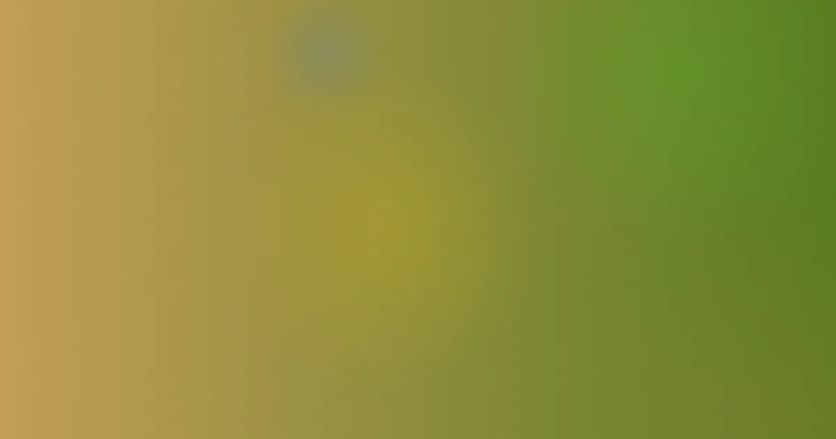 黄色在线观看网站对比复盘